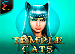 Temple Cats
