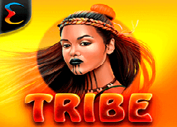 Tribe