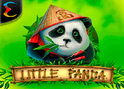 Little Panda