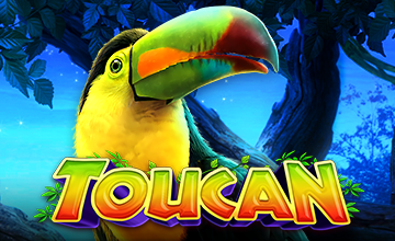 Toucan